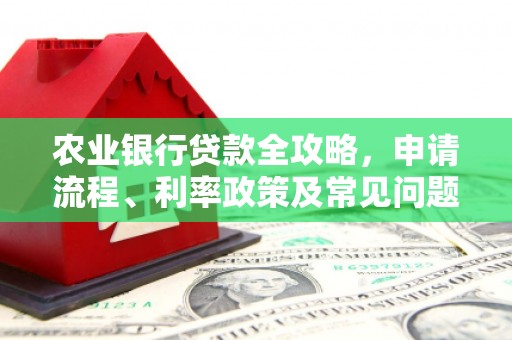 厦门农业银行贷款全攻略，申请流程、利率政策及常见问题解析