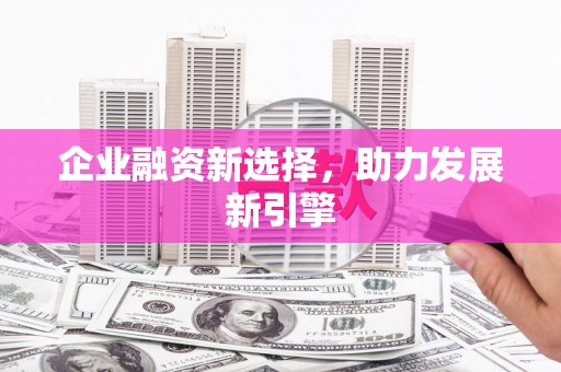 厦门企业融资新选择，助力发展新引擎