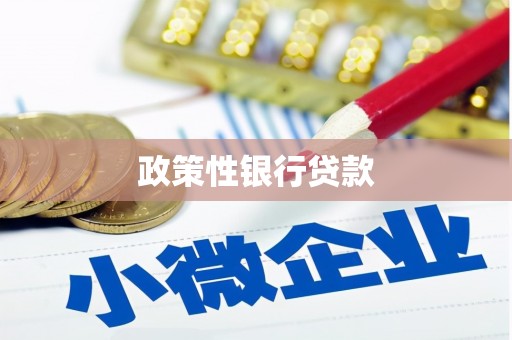 厦门政策性银行贷款