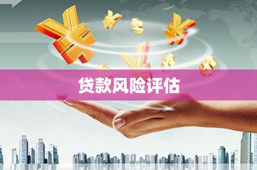 厦门贷款风险评估