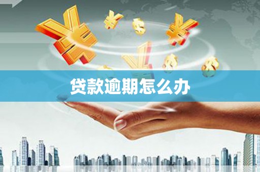 厦门贷款逾期怎么办