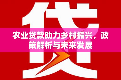 厦门农业贷款助力乡村振兴，政策解析与未来发展