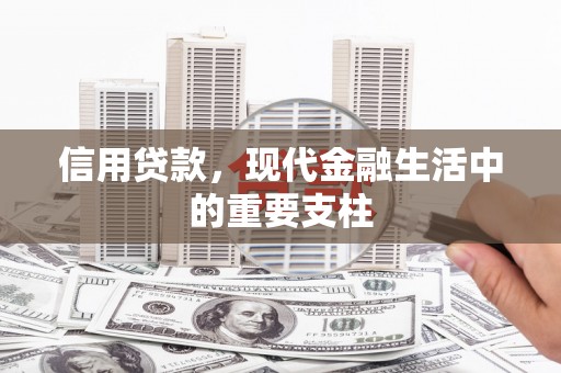 厦门信用贷款，现代金融生活中的重要支柱