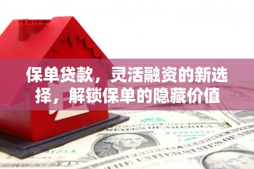 厦门保单贷款，灵活融资的新选择，解锁保单的隐藏价值