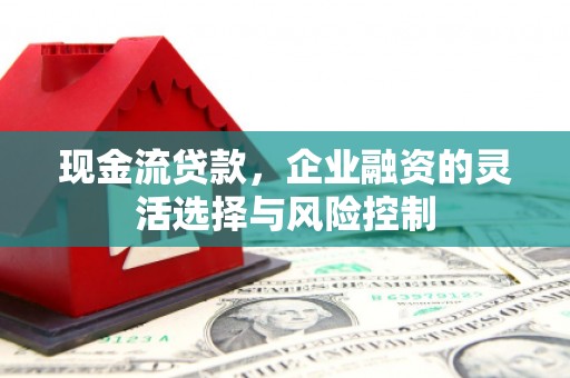 厦门现金流贷款，企业融资的灵活选择与风险控制
