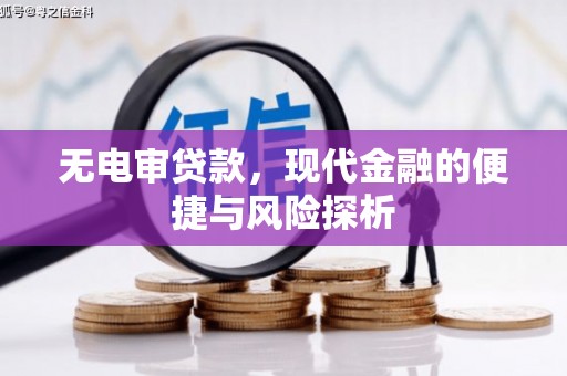 厦门无电审贷款，现代金融的便捷与风险探析