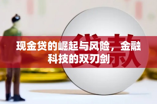 厦门现金贷的崛起与风险，金融科技的双刃剑