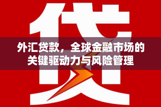 厦门外汇贷款，全球金融市场的关键驱动力与风险管理