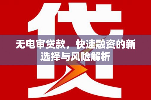 厦门无电审贷款，快速融资的新选择与风险解析