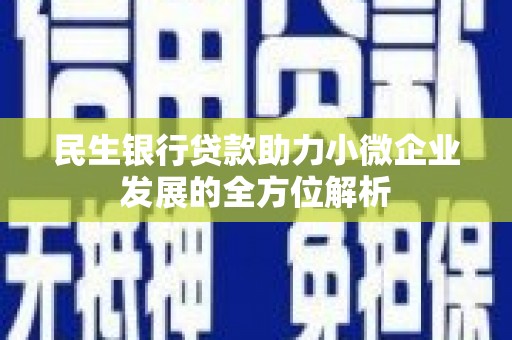 厦门民生银行贷款助力小微企业发展的全方位解析