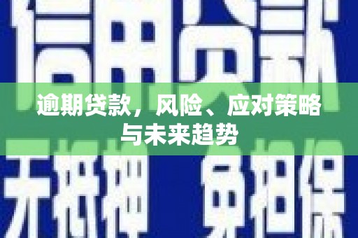 厦门逾期贷款，风险、应对策略与未来趋势