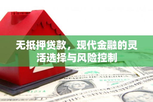 厦门无抵押贷款，现代金融的灵活选择与风险控制