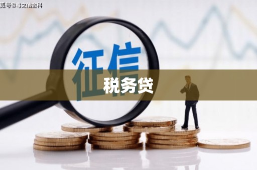 厦门税务贷