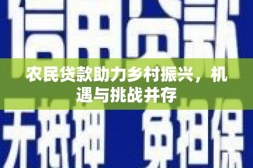 厦门农民贷款助力乡村振兴，机遇与挑战并存