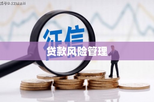 厦门贷款风险管理