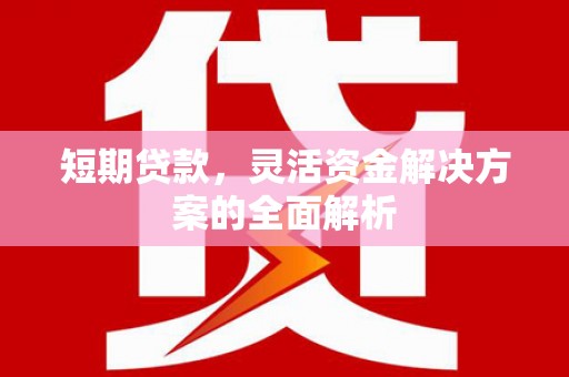 厦门短期贷款，灵活资金解决方案的全面解析