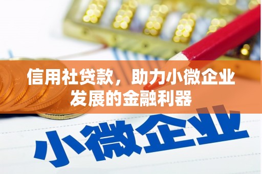 厦门信用社贷款，助力小微企业发展的金融利器