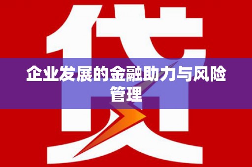 厦门企业发展的金融助力与风险管理