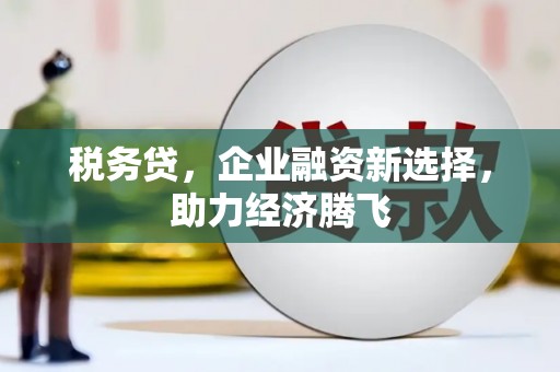 厦门税务贷，企业融资新选择，助力经济腾飞