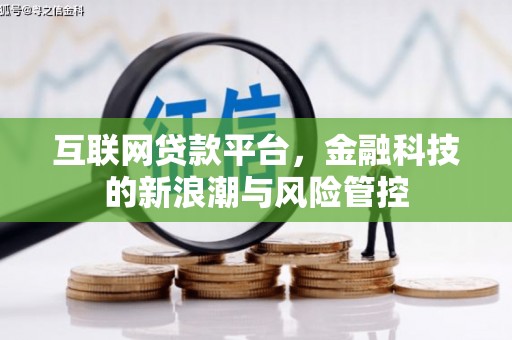 厦门互联网贷款平台，金融科技的新浪潮与风险管控