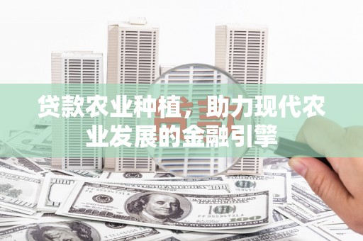 厦门贷款农业种植，助力现代农业发展的金融引擎
