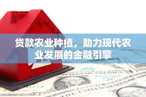 厦门贷款农业种植，助力现代农业发展的金融引擎
