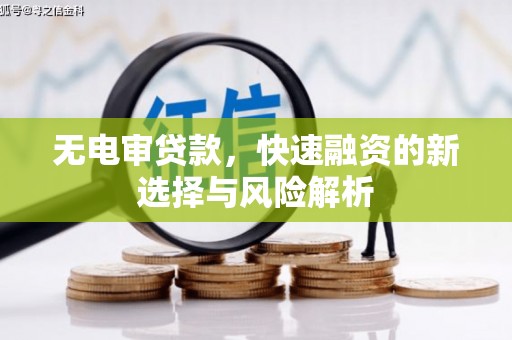 厦门无电审贷款，快速融资的新选择与风险解析