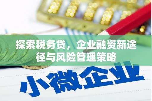 厦门探索税务贷，企业融资新途径与风险管理策略