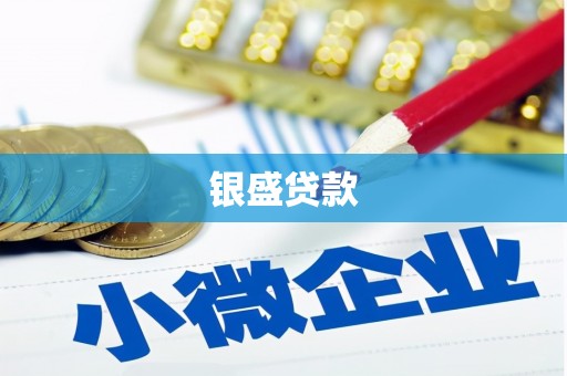 厦门银盛贷款