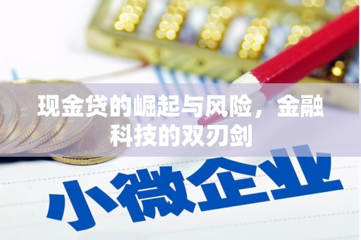 厦门现金贷的崛起与风险，金融科技的双刃剑