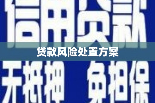 厦门贷款风险处置方案