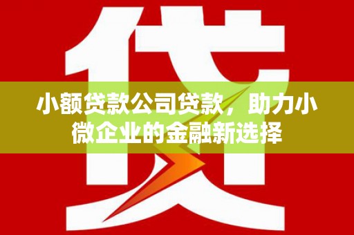 厦门小额贷款公司贷款，助力小微企业的金融新选择