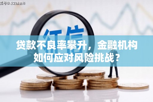 厦门贷款不良率攀升，金融机构如何应对风险挑战？