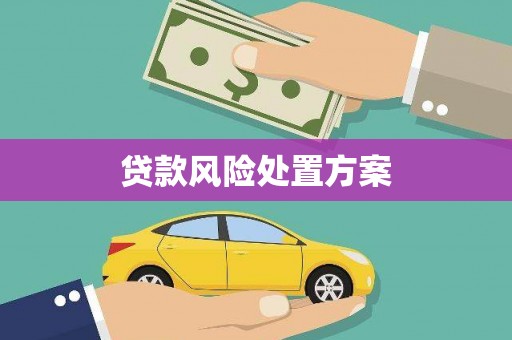 厦门贷款风险处置方案