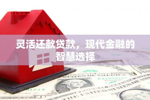 厦门灵活还款贷款，现代金融的智慧选择