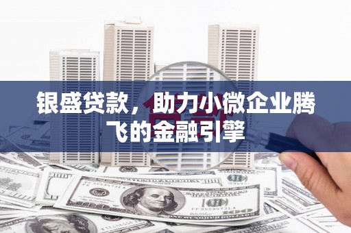厦门银盛贷款，助力小微企业腾飞的金融引擎