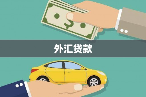 厦门外汇贷款