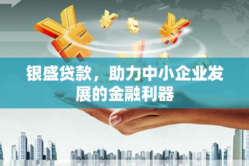 厦门银盛贷款，助力中小企业发展的金融利器