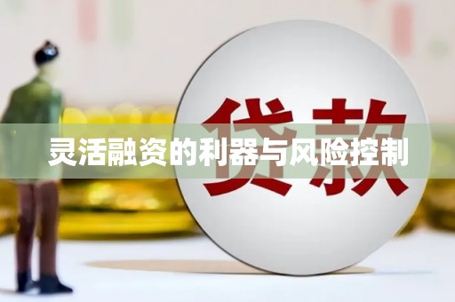 厦门灵活融资的利器与风险控制