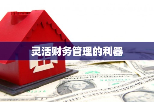 厦门灵活财务管理的利器