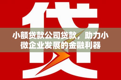 厦门小额贷款公司贷款，助力小微企业发展的金融利器