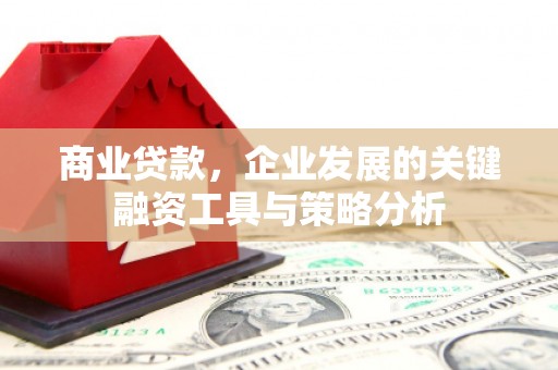 厦门商业贷款，企业发展的关键融资工具与策略分析