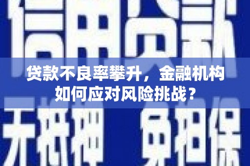 厦门贷款不良率攀升，金融机构如何应对风险挑战？