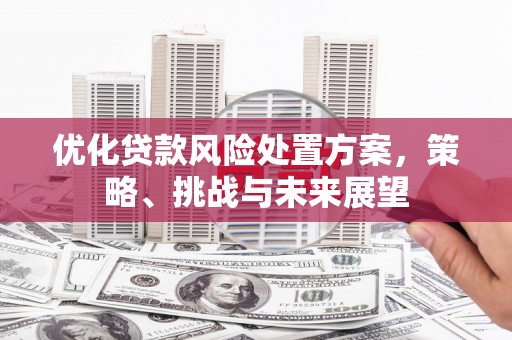 厦门优化贷款风险处置方案，策略、挑战与未来展望