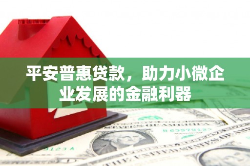 厦门平安普惠贷款，助力小微企业发展的金融利器