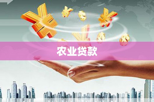 厦门农业贷款