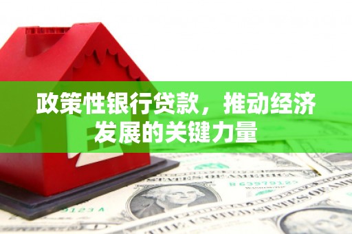 厦门政策性银行贷款，推动经济发展的关键力量