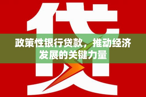 厦门政策性银行贷款，推动经济发展的关键力量