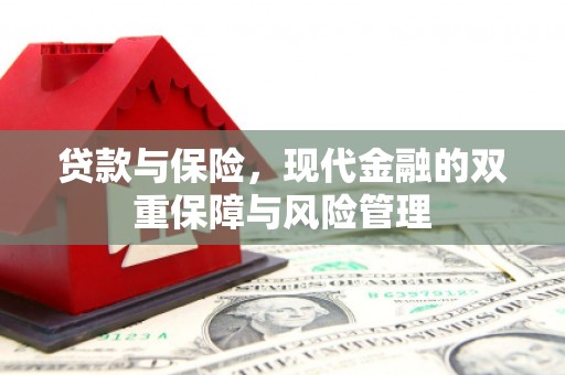 厦门贷款与保险，现代金融的双重保障与风险管理
