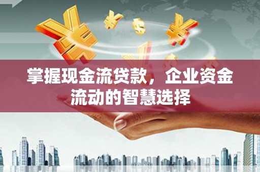 厦门掌握现金流贷款，企业资金流动的智慧选择